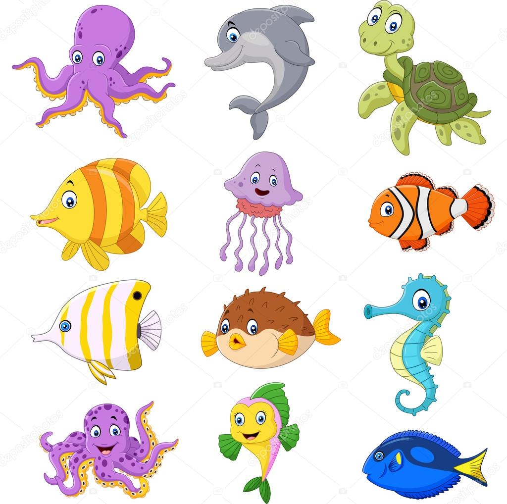 Sea Life Pictures Cartoon | Webphotos.org