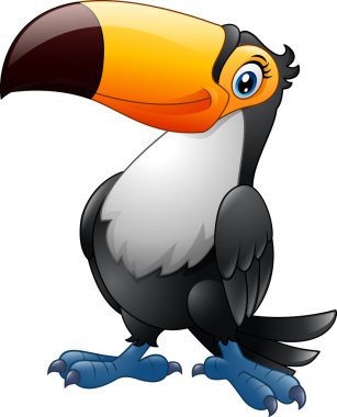 Çizgi film Toucan beyaz arka planda izole