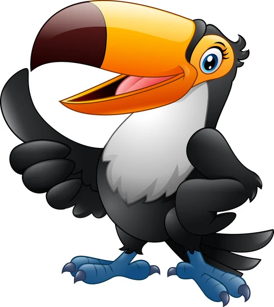 Γελοιογραφία αστεία toucan δίνοντας τον αντίχειρα επάνω απομονωθεί σε λευκό φόντο — Διανυσματικό Αρχείο