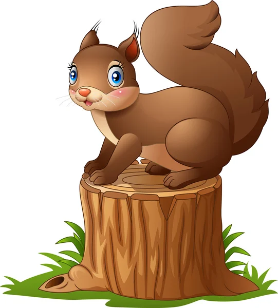 Cute squirrel cartoon standing on tree stump — Stock Vector