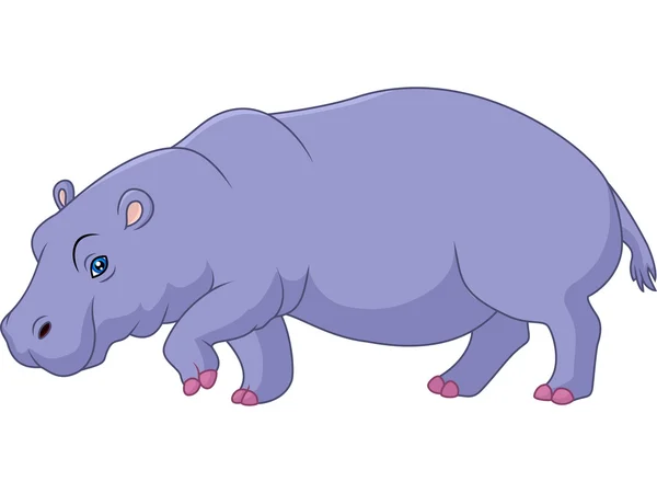 Dessin animé hippopotame isolé sur fond blanc — Image vectorielle