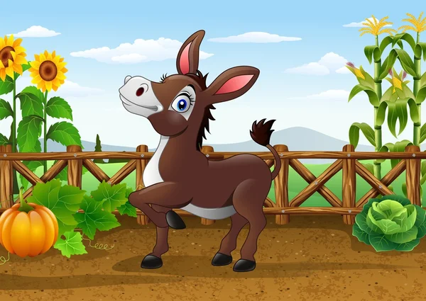 Cartoon happy ezel in de farm — Stockvector