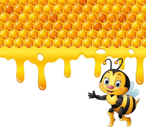 Cartoon bee med honeycomb och honung droppade — Stock vektor