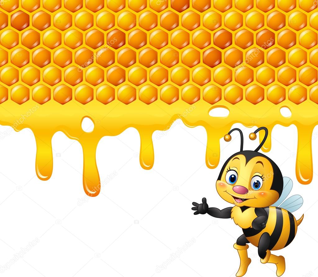 Cartoon bee with honeycomb and honey dripping