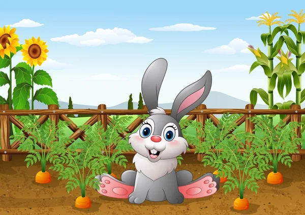 Conejo de dibujos animados con planta de zanahoria en el jardín — Vector de stock