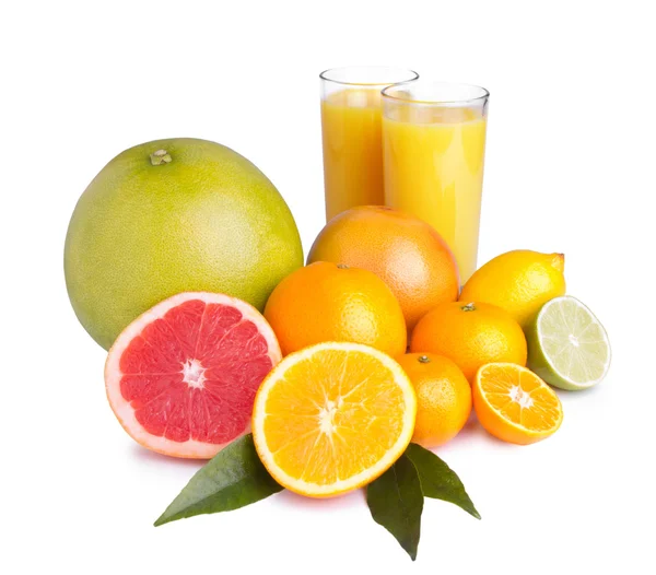 Set van verschillende citrus en SAP — Stockfoto