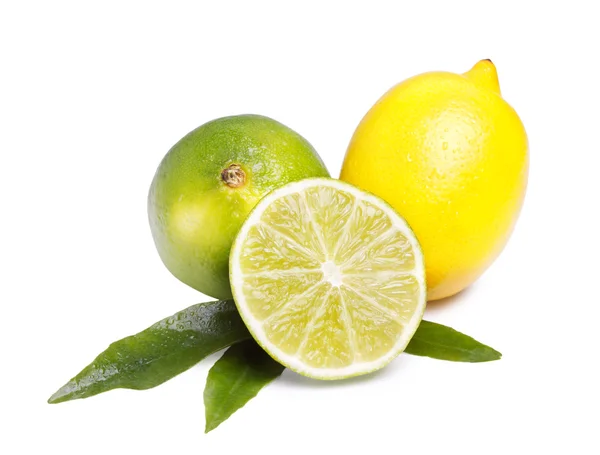 Limones y limón amarillo Fotos de stock libres de derechos