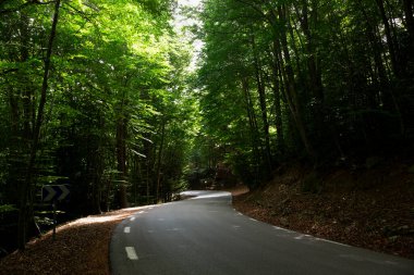 Yaz boyunca arka planda ağaçlar ve ormanlar olan güzel dolambaçlı dağ yolu..