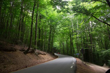 Yaz boyunca arka planda ağaçlar ve ormanlar olan güzel dolambaçlı dağ yolu..