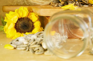 Cam kavanozlu ayçiçeği ve borulardan oluşan bir yaşam.