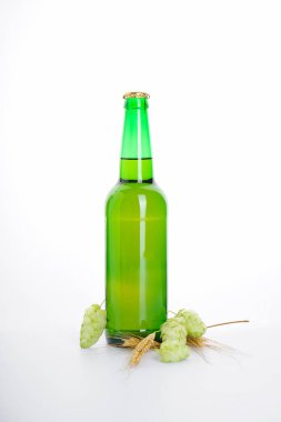 Bira şişesi beyaz arka planda izole.