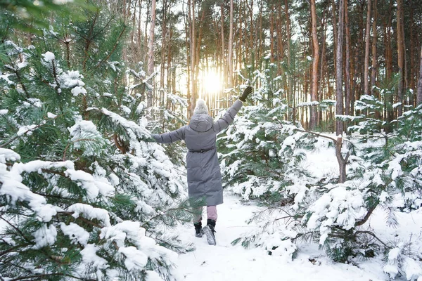 Young woman in the winter forest, on a sunset background.