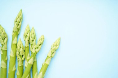 Mavi arka planda yeşil taze kuşkonmaz, mesaj için yer var. Yakın plan.