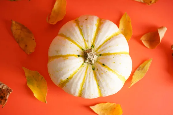 Halloween Konceptet Höstens Sammansättning Pumpa Torkade Blad Orange Bakgrund Ovanifrån — Stockfoto