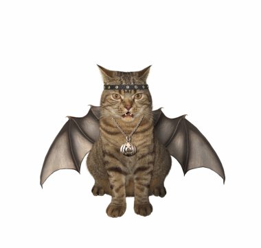 Bat - vampir - kedi.