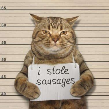 Catstole sosis