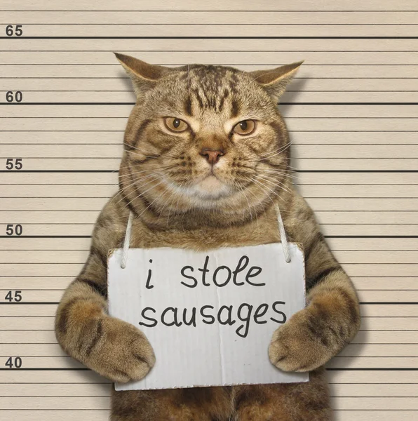 Le salsicce catstole — Foto Stock