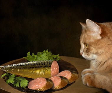 Cat and fish sausage. clipart