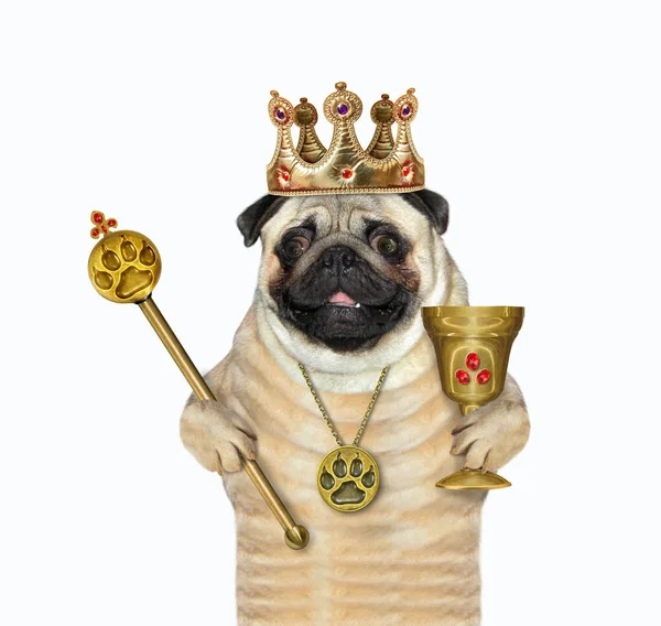 Ένα Σκυλί Ένα Στέμμα Κρατάει Ένα Χρυσό Βασιλικό Σκήπτρο Και — Φωτογραφία Αρχείου