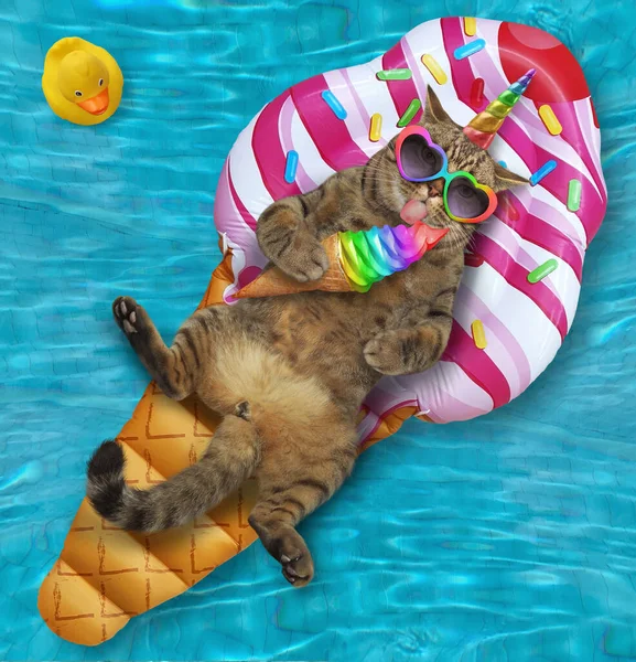 Kot Jednorożec Okularach Przeciwsłonecznych Leży Nadmuchiwanym Pierścieniu Tęczowe Lody Basenie — Zdjęcie stockowe