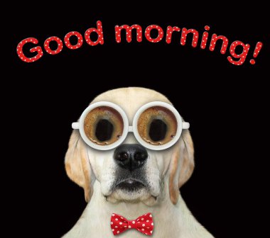 Siyah kahve bardaklarından yapılmış bir köpek. İyi sabahlar. Beyaz arka plan. İzole edilmiş.