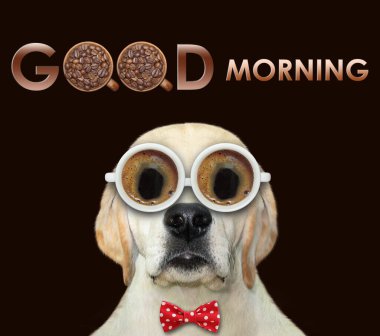 Siyah kahve bardaklarından yapılmış bir köpek. İyi sabahlar. Beyaz arka plan. İzole edilmiş.