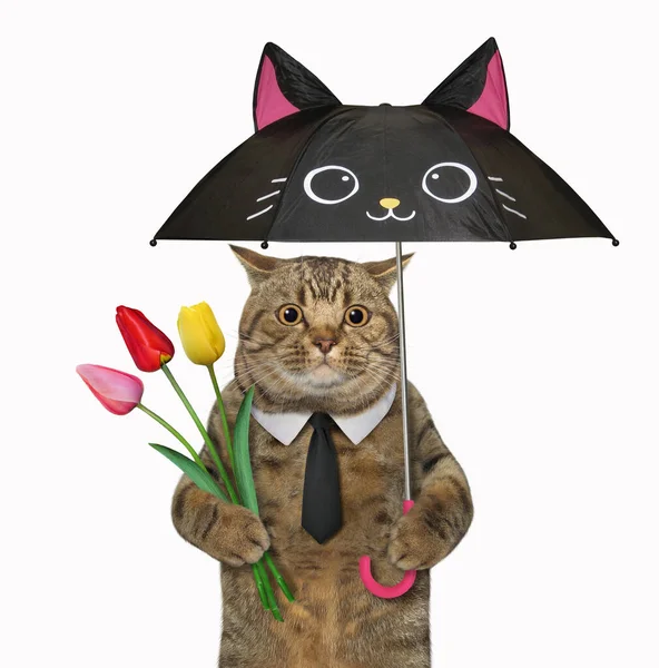 Beige Big Eyed Cat Holding Black Cat Shaped Umbrella Bouquet — Stock Photo, Image