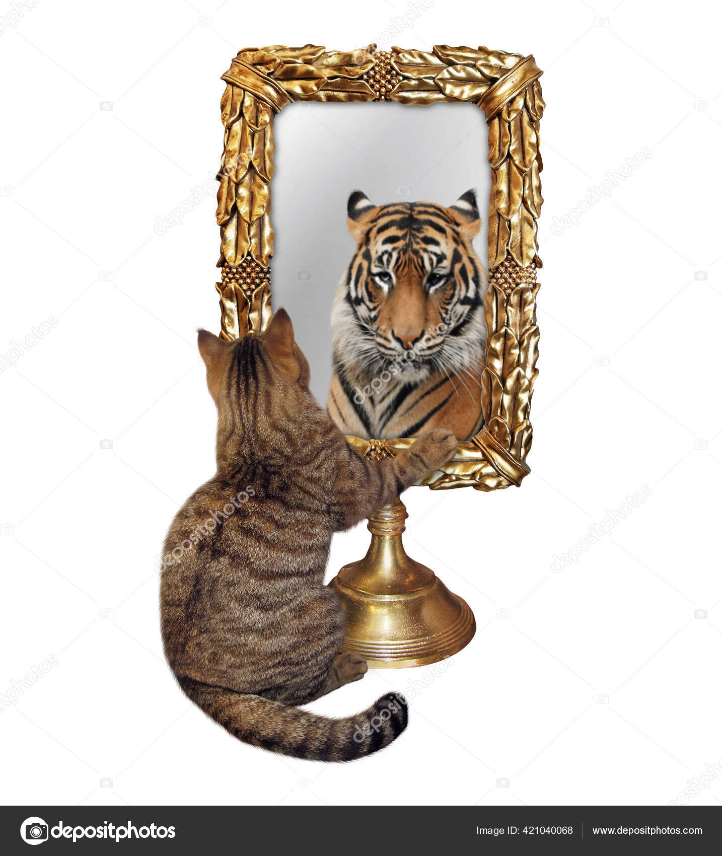 Photos De Lion Chat Miroir Images De Lion Chat Miroir Depositphotos Photos De Lion Chat Miroir Images De Lion Chat Miroir Depositphotos