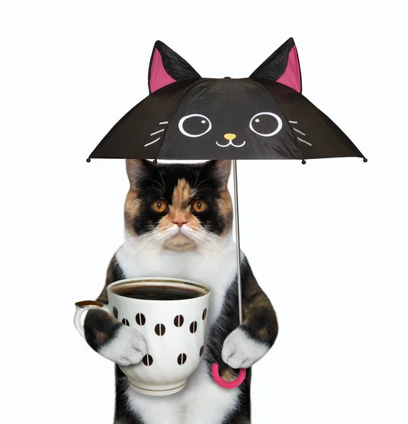 Kot Pije Kawę Pod Parasolem Kształcie Czarnego Kota Białe Tło — Zdjęcie stockowe