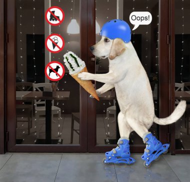 Elinde dondurma külahı olan mavi kasklı bir köpek yasak levhaları olan bir restoranın girişinde paten kayıyor..