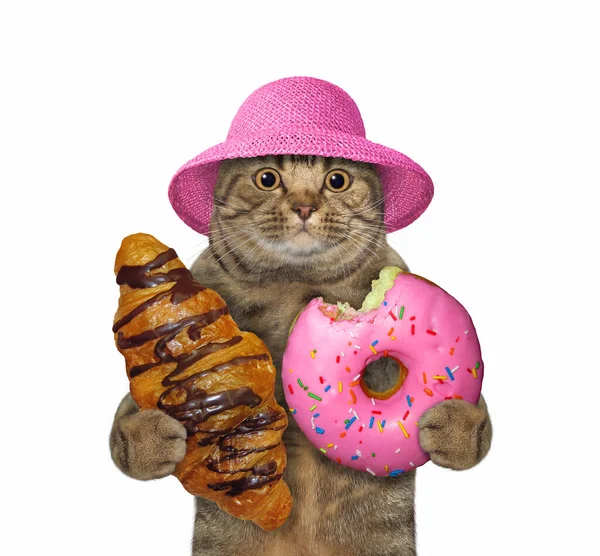 Beżowy Duży Kot Słomkowym Kapeluszu Trzyma Czekoladowy Rogalik Różowego Pączka — Zdjęcie stockowe