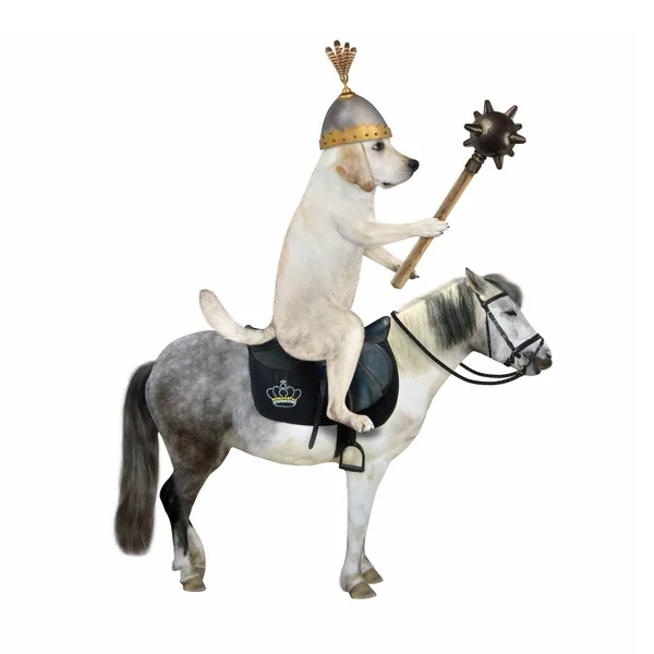 Wojownik Hełmie Maczugą Jeździ Szarym Koniu Białe Tło Izolacja — Zdjęcie stockowe