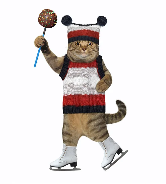 Eine Katze Mit Strickmütze Bommeln Und Pullover Läuft Auf Dem — Stockfoto