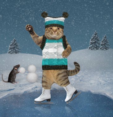 Örgü şapkalı, ponponlu ve kazaklı bir kedi kış ormanında donmuş bir gölette paten yapıyor..