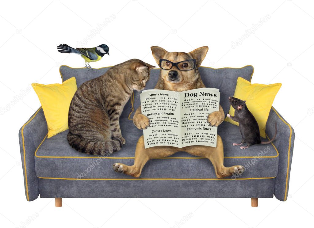 A family of pets is reading a newspaper on a gray sofa. White background. Isolated.