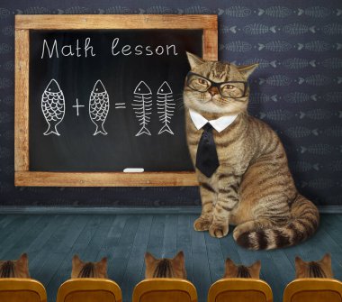 Bir kedi öğretmeni tahtaya öğrencileri için komik bir matematik formülü yazmış..