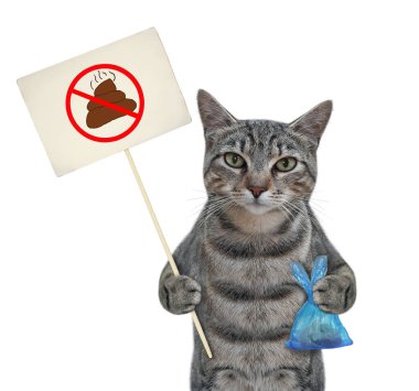 Gri bir kedi, içinde kaka olan mavi bir poşet ve evcil hayvanların arkasını temizleyin yazan bir tabela tutuyor. Beyaz arka plan. İzole edilmiş.