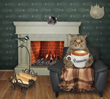 Bej bir kedi siyah deri bir sandalyede oturuyor ve şöminede kapuçino içiyor..