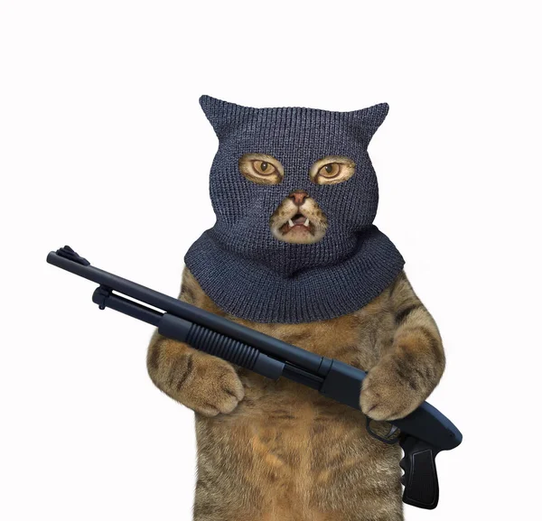 Katt Balaklava Håller Ett Hagelgevär Vit Bakgrund Isolerad — Stockfoto
