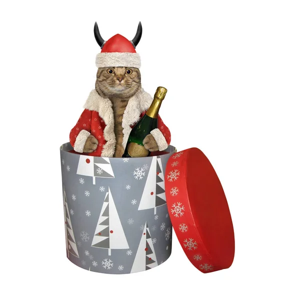 Gato Com Chapéu Papai Noel Com Chifres Uma Garrafa Vinho — Fotografia de Stock