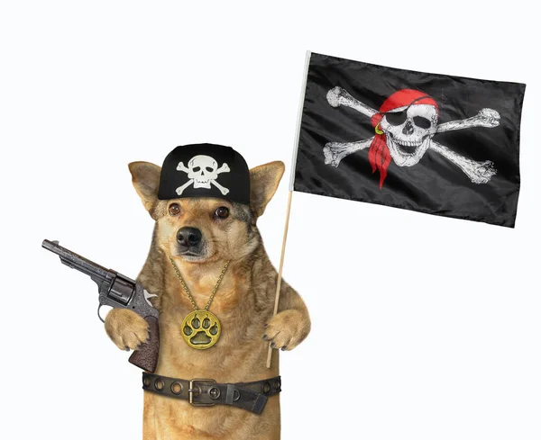 Ein Hund Mit Kopftuch Hält Eine Pistole Und Eine Piratenfahne — Stockfoto