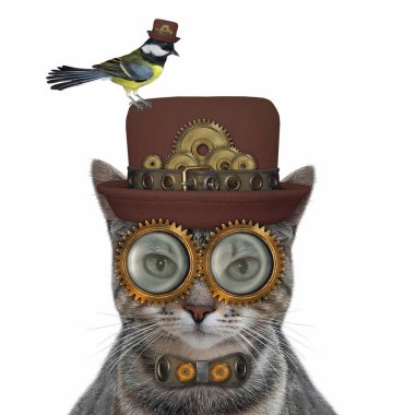 Gri renkli bir Steampunk şapka, metal bir papyon ve gözlük takıyor. Beyaz arka plan. İzole edilmiş.