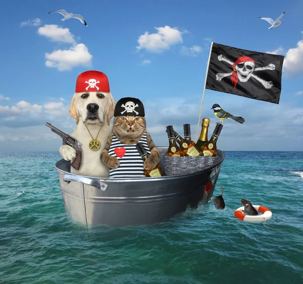 A cat with a dog are floating on a pirate washtub ship in the open sea.