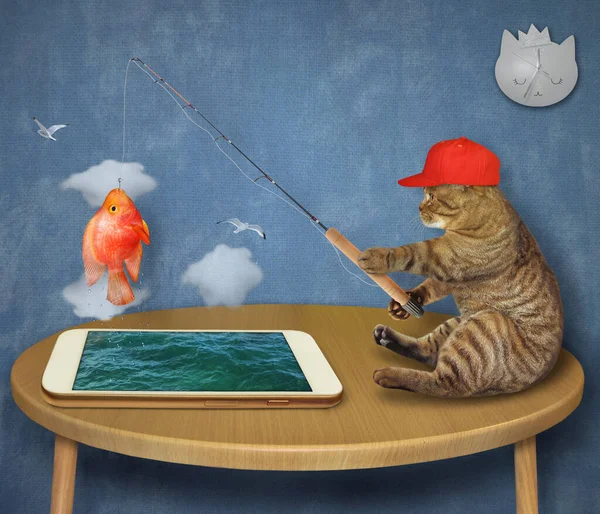 Cat Red Cap Fishing Phone Table Home Caught Fish — Stock Photo, Image