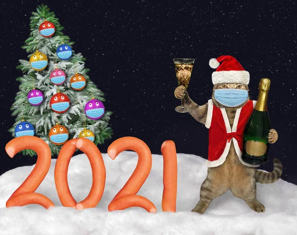 Katt Jultomte Kostym Med Vinstånd Nära 2021 Gjorda Korv Vinterskogen — Stockfoto