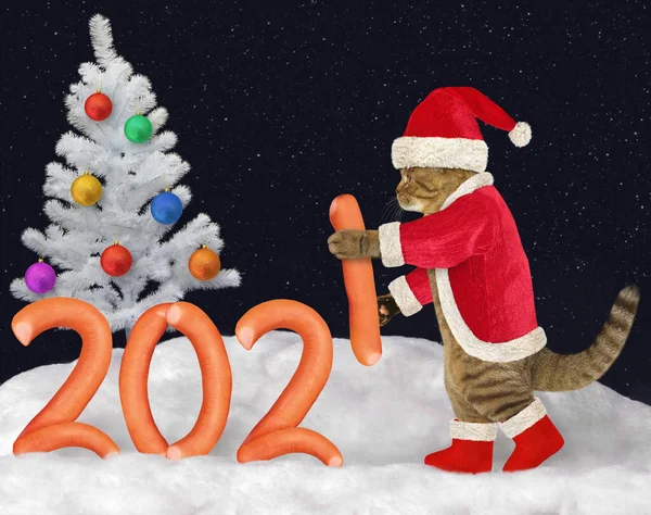 Gato Chapéu Papai Noel Faz 2021 Salsichas Perto Uma Árvore — Fotografia de Stock