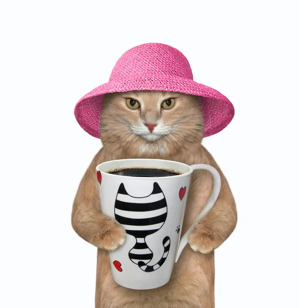 Pembe Hasır Şapkalı Bir Kedi Bir Fincan Kahve Içmek Istiyor — Stok fotoğraf
