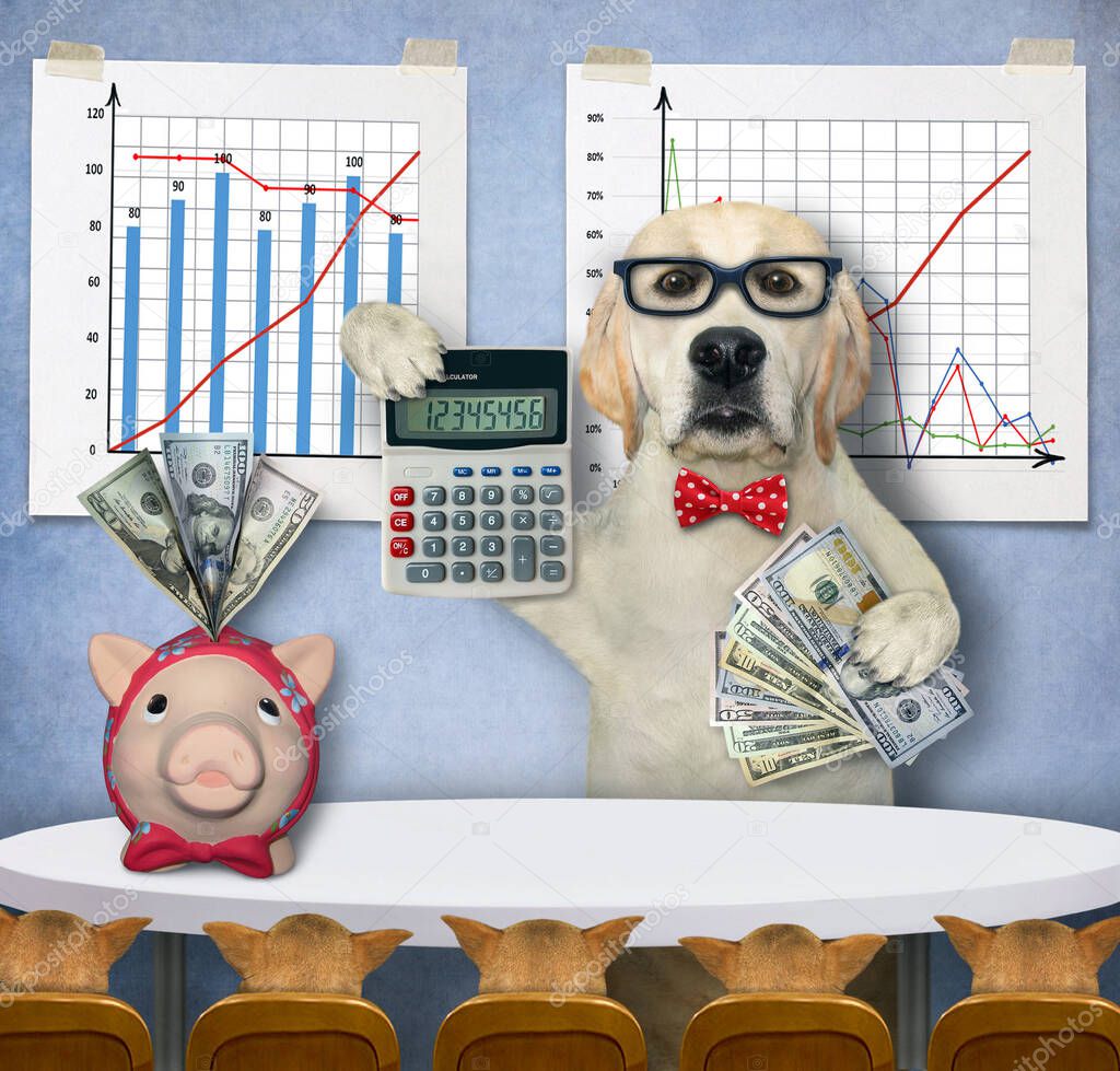 A dog coach with a calculator and a fan of dollars is teaching his students near financial charts in the classroom.