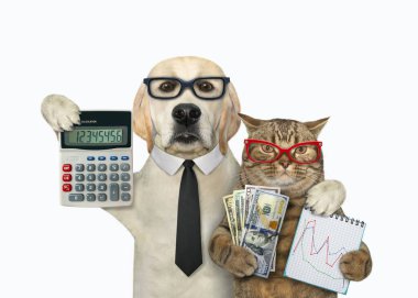 Kedili bir köpek iş adamıdır. Bir hesap makinesi, finansal tablolar ve dolar tutuyorlar. Beyaz arka plan. İzole edilmiş.