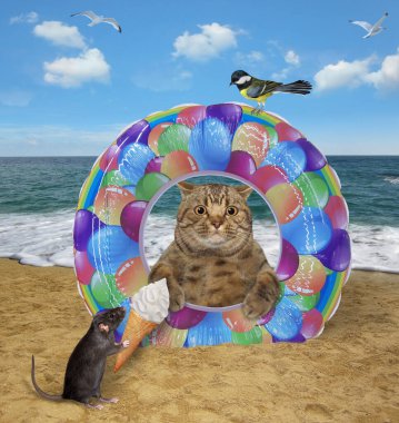 Şişme yüzüklü bir kedi denizin kumsalında kumların üzerinde yatıyor. Fare ona dondurma veriyor..